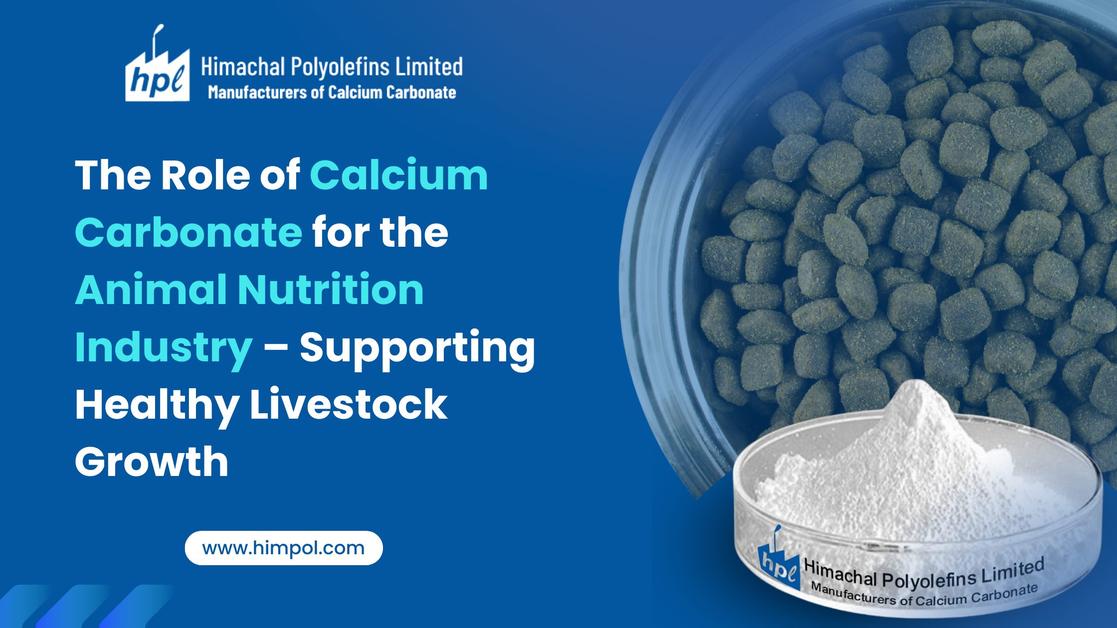 The Role of Calcium Carbonate for the Animal Nutrition Industry – Supporting Healthy Livestock Growth